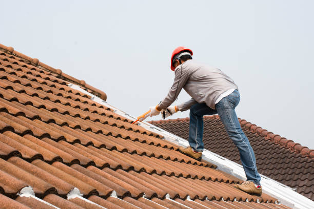 Best Chimney Flashing Repair  in Palmyra, MO